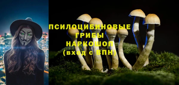 гашик Балабаново
