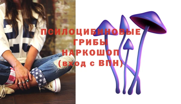каннабис Баксан