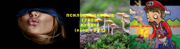 метадон Белокуриха