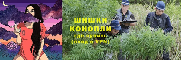 метадон Белокуриха