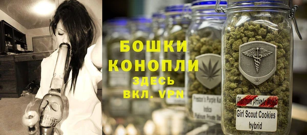 метадон Белокуриха