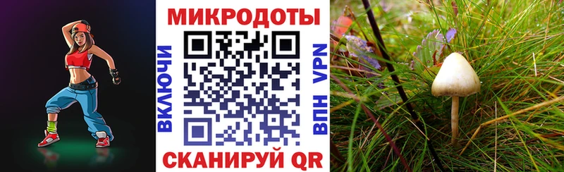 Купить где  Туринск  Псилоцибиновые грибы прущие грибы 